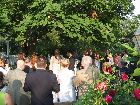 Cape Cod Garden Wedding